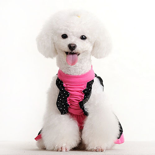 Плюшевая кровать с цветком для собак и домашних животных