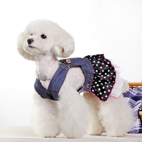 Многофункциональная сумка для кошек и собак